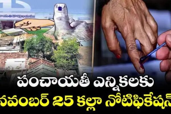 3fcac87f 63e5 4833 b782 852aa3041870