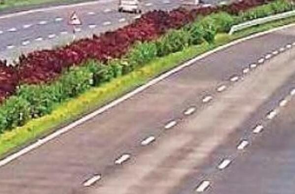 whatsapp image 2025 11 22 at 8.51.24 am