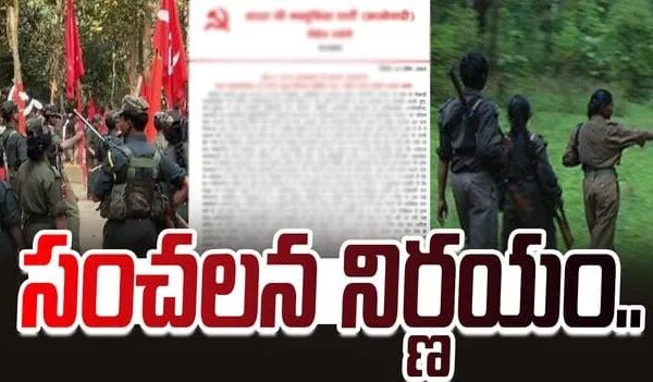 whatsapp image 2025 11 24 at 1.13.41 pm