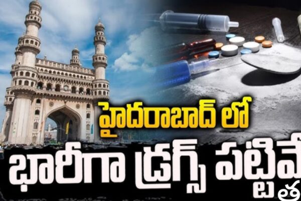 whatsapp image 2025 11 24 at 1.14.29 pm (1)