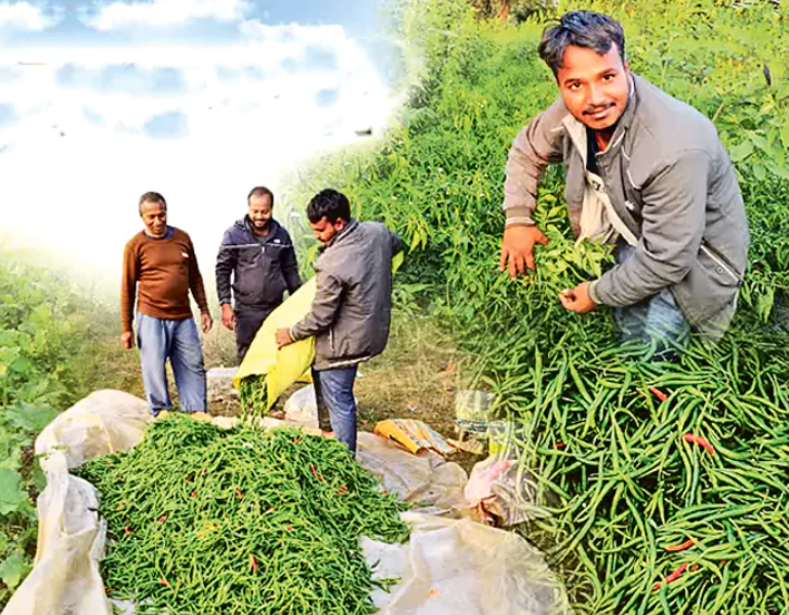 screenshot 2025 12 06 184020