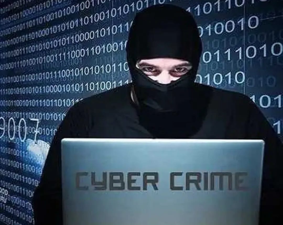 whatsapp image 2025 12 08 at 3.52.55 pm