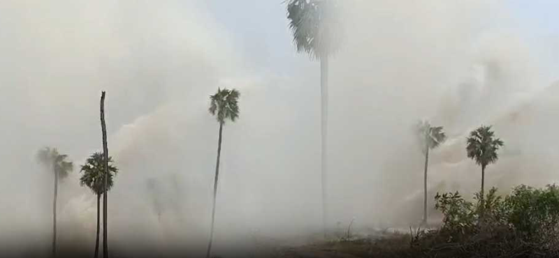 screenshot 2026 01 03 161414