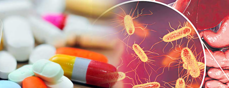 screenshot 2026 01 21 183619