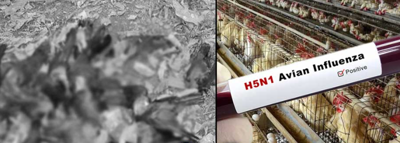 screenshot 2026 02 06 202720