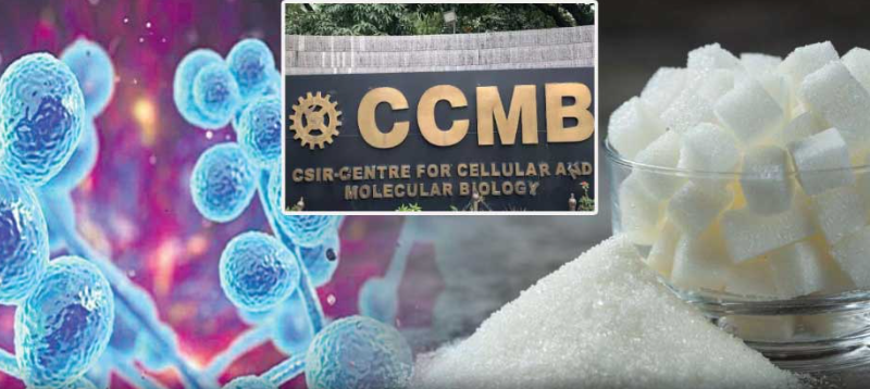 screenshot 2026 02 08 120548