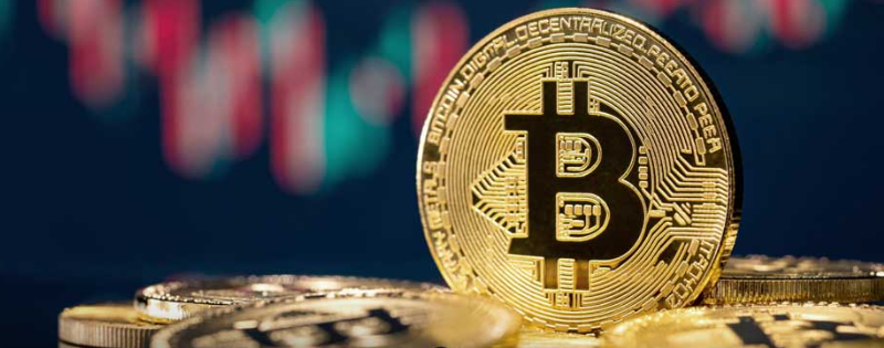 screenshot 2026 02 09 115134