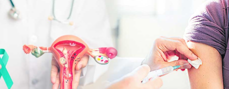 screenshot 2026 02 16 113047