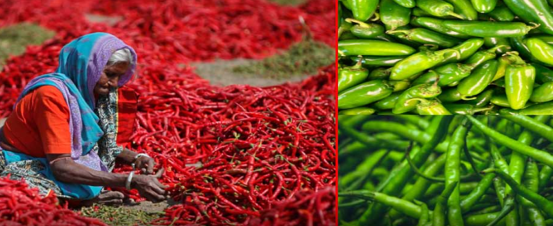 screenshot 2026 02 22 210056