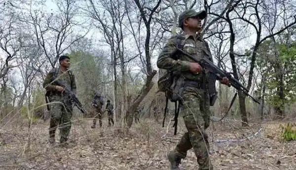 whatsapp image 2026 02 20 at 12.11.41 pm (1)