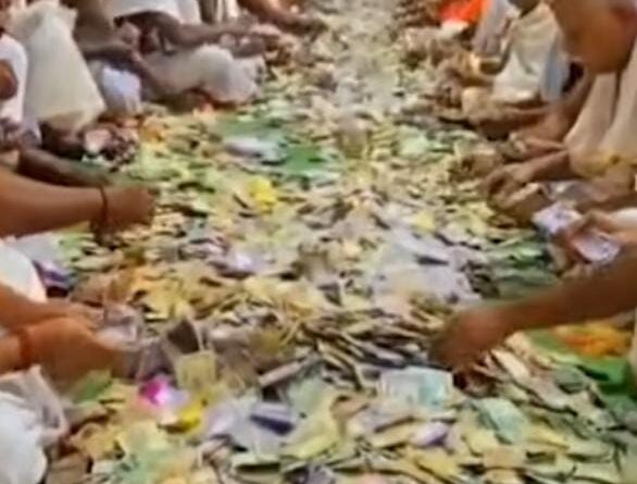 whatsapp image 2026 02 21 at 9.44.44 pm